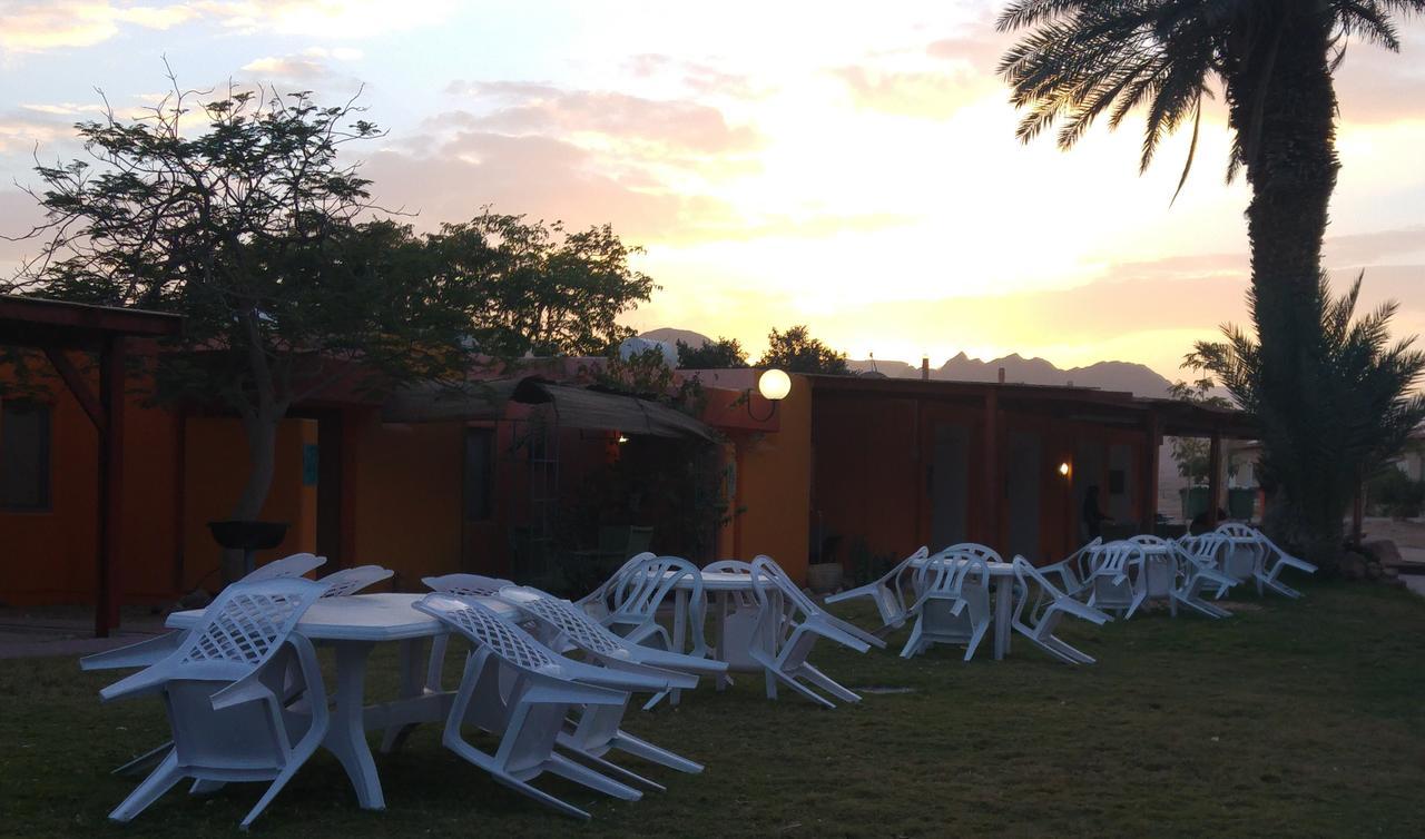 Elifaz Desert Experience Holiday Exterior photo